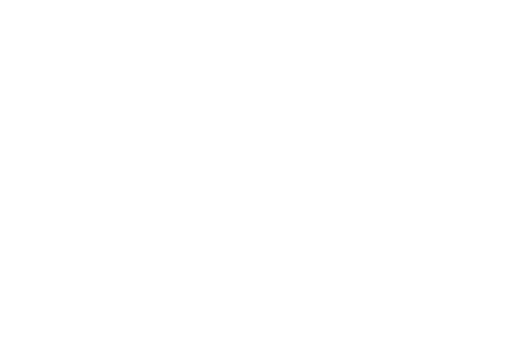 BROTE